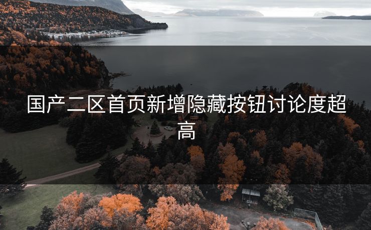 国产二区首页新增隐藏按钮讨论度超高