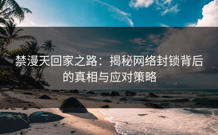 禁漫天回家之路：揭秘网络封锁背后的真相与应对策略