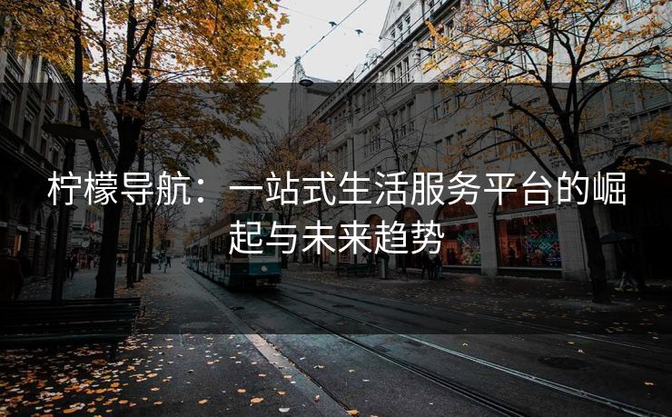 柠檬导航：一站式生活服务平台的崛起与未来趋势