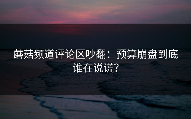 蘑菇频道评论区吵翻：预算崩盘到底谁在说谎？